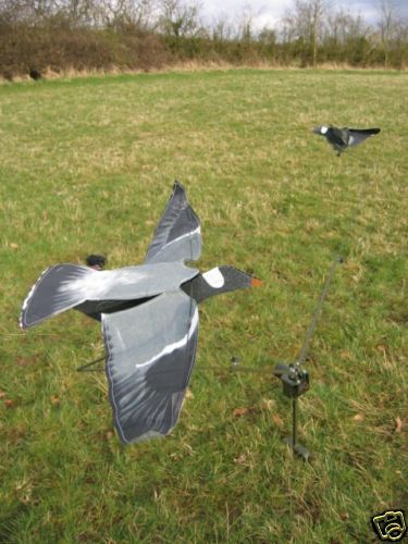 HYPA FLAP DECOY FOR PIGEON MAGNET SILLOSOCK SEE VIDEO  