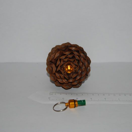 This is our Large Pine Cone with Bison Tube Geocache Containers.