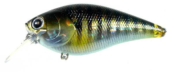 LUCKY CRAFT FAT CB BDS2 BABY BLUEGILL  