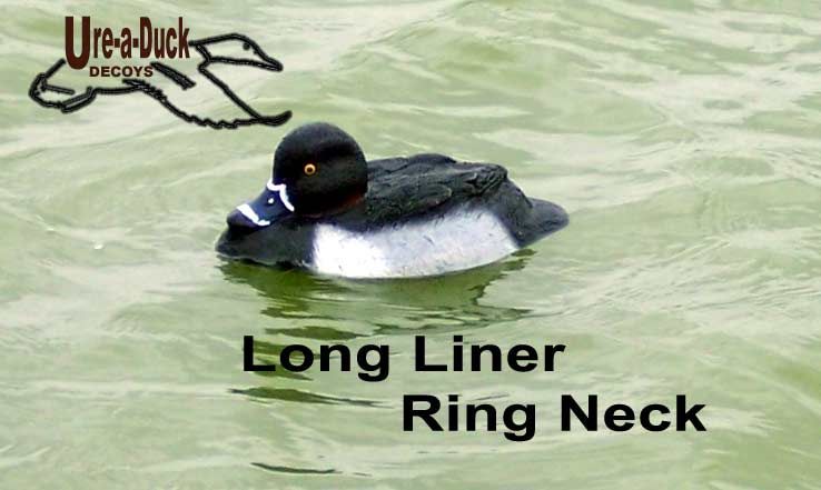 Diver RingNeck Duck Decoys Ring Neck Duck Decoys  