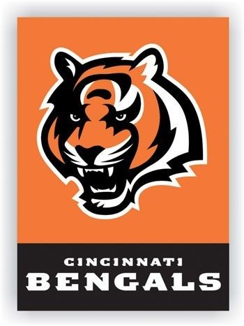 Cincinnati Bengals Football 28x40 Double Sided Flag  