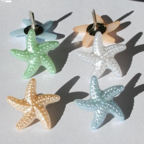 Brads   Pearl starfish, ocean, summer   pk 4  