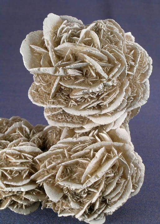 TOP QUALITY GYPSUM SELENITE ROSE CRYSTAL GROUP + MEXICO  