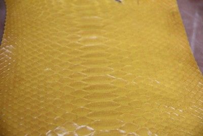 Genuine Short Tail Python Skin yellow Glazed 11x5ft  