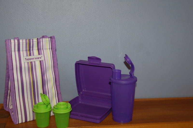   LUNCH SET purple sandwich flip top tumbler salt shaker midget  