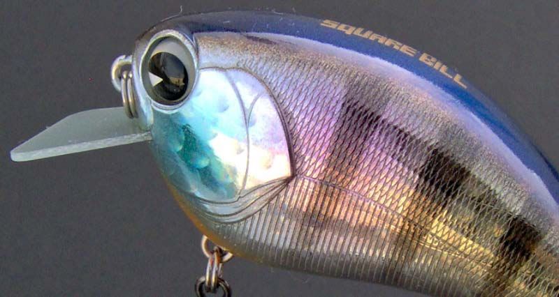 ima Square Bill   Shallow Running Crankbait ~ Foiled Gill  