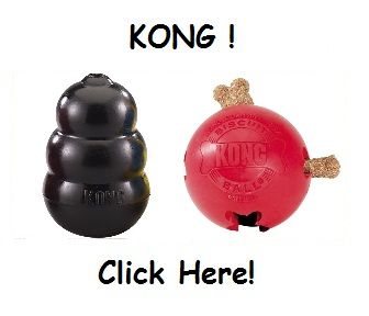 EVERYTHING KONG For Your DOG   in The USA & Canada 