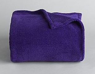 FULL/QUEEN Co exist Cannon Microraschel Purple BLANKET  