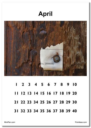 Pointless Calendar   Funny Perpetual Calendar  