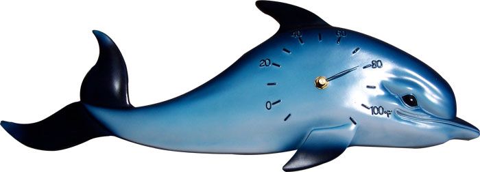 New Indoor   Outdoor Tropical Fish Clock or Thermometer  