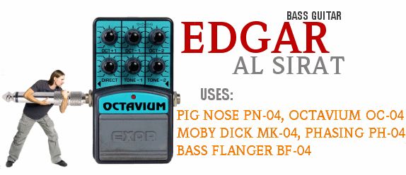 EXAR/analog OCTAVER handmade pedal / 2 oct.  / 1 oct.+  