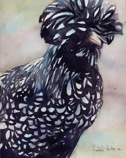 Print Silver Polish Chicken Painting Farm Art  